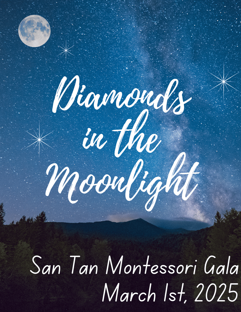 Diamonds in the Moonlight flyer