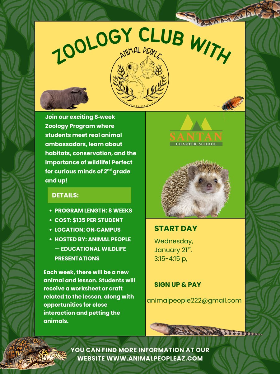 Green Simple Illustrative Zoo Promotion Poster